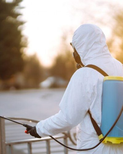 Seasonal-Pest-Control-Tips-0c932f76