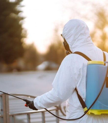 Seasonal-Pest-Control-Tips-0c932f76