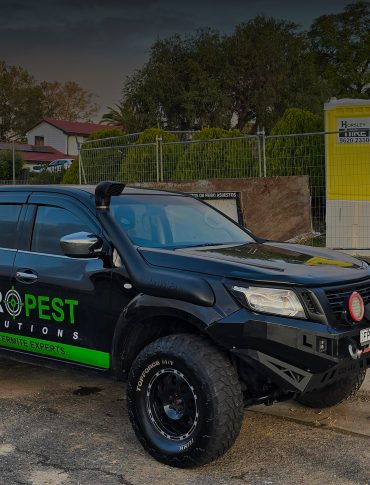 ZEROPEST SOLUTIONS CAR