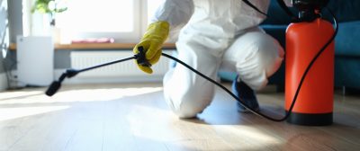 isinfection-of-premises-from-insects-and-rodents-with-chemicals.jpg_s1024x1024wisk20cRBXJHJNTAvLNTJG-Nt5nSB2xkUfRlIdP8kM_UtmPyH0-1